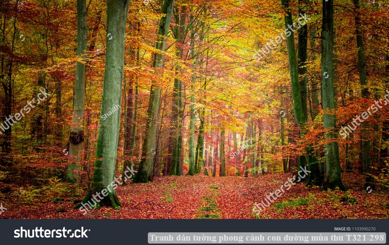 Tranh dán tường phong cảnh con đường mùa thu T321-298